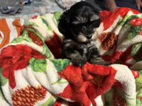 processed/63301e0e-2f75-4466-8d3a-c03720beca97/listing/ca7e3690-153c-43c8-a295-286d0ee2ea20/f2f07ee2-d320-41e5-a3e5-e34f1af5b9c7