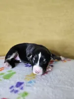 processed/6334c06e-d379-42f4-942c-b85e684c3d2f/listing/11ffe1e2-5154-4a42-b576-9bc96c60836e/1f20ca5e-2c05-4edd-ae98-13e96879e557