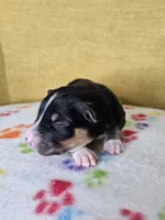 processed/6334c06e-d379-42f4-942c-b85e684c3d2f/listing/11ffe1e2-5154-4a42-b576-9bc96c60836e/72268363-c598-47cb-afd7-b075ccfbad16