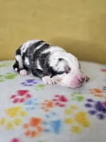 processed/6334c06e-d379-42f4-942c-b85e684c3d2f/listing/507906bf-346f-4c00-bd7f-b55bf15859fd/44eefe7b-910f-4da3-9520-cd4dbbbf9783