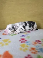 processed/6334c06e-d379-42f4-942c-b85e684c3d2f/listing/507906bf-346f-4c00-bd7f-b55bf15859fd/abd7aad2-2667-4797-83d5-a6aea5642a6f