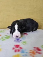 processed/6334c06e-d379-42f4-942c-b85e684c3d2f/listing/c75ba2c2-8fc6-41f7-9c80-27bba85a263b/dca82f91-9e99-41ea-a9cc-60cf9236d956