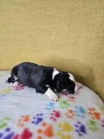 processed/6334c06e-d379-42f4-942c-b85e684c3d2f/listing/ce0dcccb-3874-4cd2-ad65-7f8d828132fe/926bd758-18bc-40b8-adb4-b771ada82b42