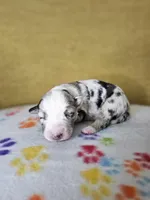 processed/6334c06e-d379-42f4-942c-b85e684c3d2f/listing/eef801e0-2ac9-41aa-a3dc-43acc2b5c0d1/6d5fcaa8-7775-4b6f-9df9-d72a95fa56df