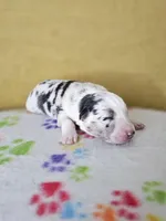 processed/6334c06e-d379-42f4-942c-b85e684c3d2f/listing/eef801e0-2ac9-41aa-a3dc-43acc2b5c0d1/b4898a2e-9927-491e-aca8-1de11e7227f0