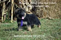 processed/633d15e9-45b7-42b1-a98b-379f974c76c1/listing/4c258eaa-4d13-4d93-ac0d-36a6678d182e/3cf61ab1-6e70-426f-bd7f-b7db12a2b29b