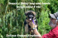 processed/633d15e9-45b7-42b1-a98b-379f974c76c1/listing/4c258eaa-4d13-4d93-ac0d-36a6678d182e/81b2516d-bfd9-4cd1-8288-d3b81fe7f228