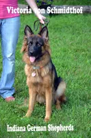 long coat female 1, a female German Shepherd Dog for sale in Chrisney, IN – Photo 4 of 4