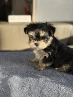 processed/634009dd-aebf-43aa-adee-e42dac6b5a9b/listing/23ac2168-4ef5-4dcd-bce4-5d963a31edf0/10b3e7a1-8ad9-4702-9c6a-2c9826731095