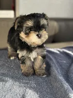 processed/634009dd-aebf-43aa-adee-e42dac6b5a9b/listing/23ac2168-4ef5-4dcd-bce4-5d963a31edf0/946ac856-bf75-483a-a6b9-97a9f713250e