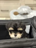 processed/634009dd-aebf-43aa-adee-e42dac6b5a9b/listing/856effdd-93bf-4fe7-bd40-dbdb4c5e0dda/48c5a7dc-acb0-4a08-987e-4a62fcb35adf