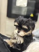 processed/634009dd-aebf-43aa-adee-e42dac6b5a9b/listing/856effdd-93bf-4fe7-bd40-dbdb4c5e0dda/49e3d30a-3da2-4dcc-afb0-d09d3a73a4cc