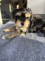 processed/634009dd-aebf-43aa-adee-e42dac6b5a9b/listing/856effdd-93bf-4fe7-bd40-dbdb4c5e0dda/5fd85846-9a30-49c5-83e1-1ec164061354