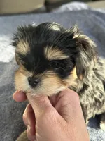 processed/634009dd-aebf-43aa-adee-e42dac6b5a9b/listing/856effdd-93bf-4fe7-bd40-dbdb4c5e0dda/76a12019-b642-44b7-ab7e-b1ebdb5d9bd3