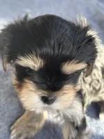 processed/634009dd-aebf-43aa-adee-e42dac6b5a9b/listing/856effdd-93bf-4fe7-bd40-dbdb4c5e0dda/8696ce91-aff7-424f-8e65-ed7bce9ebcbf