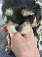 processed/634009dd-aebf-43aa-adee-e42dac6b5a9b/listing/856effdd-93bf-4fe7-bd40-dbdb4c5e0dda/abd47646-19bd-43bd-b59b-173fa8b14a56