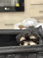 processed/634009dd-aebf-43aa-adee-e42dac6b5a9b/listing/e02b2354-6791-4f0d-a159-8e3a743daad8/e06c6100-a5dd-454d-8e8c-dace3d52b412