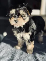 processed/634009dd-aebf-43aa-adee-e42dac6b5a9b/listing/e02b2354-6791-4f0d-a159-8e3a743daad8/ff480353-4829-4c67-b483-e253c56fd235