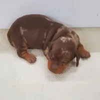 processed/63442c70-f127-459d-be80-f3f391037312/facility/9976d5be-a3c3-4fa3-92e9-12b3d8581c18