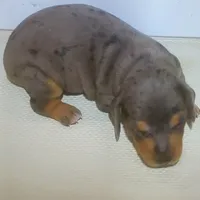 processed/63442c70-f127-459d-be80-f3f391037312/facility/ccf45848-1704-41a9-8986-3d739aaa754b