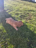 processed/63442c70-f127-459d-be80-f3f391037312/listing/967bd1fc-7884-4668-80cb-5b1c450d37b3/392a8637-8078-4d82-8b14-bebe0b5fc02f