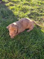 processed/63442c70-f127-459d-be80-f3f391037312/listing/967bd1fc-7884-4668-80cb-5b1c450d37b3/dea22d23-522b-4146-9352-5ed5060bea0e