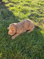 processed/63442c70-f127-459d-be80-f3f391037312/listing/967bd1fc-7884-4668-80cb-5b1c450d37b3/dfb1a4c8-71cc-49a8-8c3a-01e4035e868b