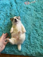 processed/6348b3d6-d5d6-4771-b825-c85549b2a559/listing/9cb17669-57a9-4674-9154-a5584dac844d/0c11be4f-52ea-4f83-a26e-fe7c4de0d03f