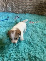 processed/6348b3d6-d5d6-4771-b825-c85549b2a559/listing/9cb17669-57a9-4674-9154-a5584dac844d/374c9f72-aedd-4cac-82c5-4aa035e81dca