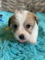 processed/6348b3d6-d5d6-4771-b825-c85549b2a559/listing/9cb17669-57a9-4674-9154-a5584dac844d/5a533d66-03f7-4915-84e8-c5a64fdbea8f