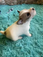 processed/6348b3d6-d5d6-4771-b825-c85549b2a559/listing/9cb17669-57a9-4674-9154-a5584dac844d/a7055adf-8094-4464-909b-5a384df59d99