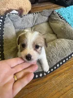 processed/6348b3d6-d5d6-4771-b825-c85549b2a559/listing/9cb17669-57a9-4674-9154-a5584dac844d/cfab6e6c-5153-491b-bebc-7fa2f4ee4b56