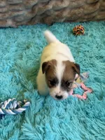 processed/6348b3d6-d5d6-4771-b825-c85549b2a559/listing/cae4064a-d9f7-40c0-8105-51164d638fd4/3051fe92-f628-44b9-b8cb-4a840bb99a94