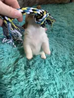 processed/6348b3d6-d5d6-4771-b825-c85549b2a559/listing/cae4064a-d9f7-40c0-8105-51164d638fd4/4857ea41-b63d-430d-9c3e-1f6fccecc33f