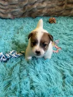 processed/6348b3d6-d5d6-4771-b825-c85549b2a559/listing/cae4064a-d9f7-40c0-8105-51164d638fd4/8acf8756-fbbe-4ee3-b468-899dc849ea20