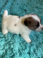 processed/6348b3d6-d5d6-4771-b825-c85549b2a559/listing/cae4064a-d9f7-40c0-8105-51164d638fd4/d3a90ec5-61ea-49be-9ff8-c3bf7947e3b7