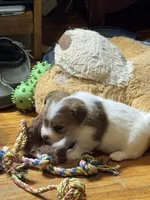 processed/6348b3d6-d5d6-4771-b825-c85549b2a559/listing/eaf72406-a15a-4360-9264-ef40fbb13814/0c769ea8-e128-4583-aeba-a78d8bd6b366