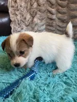 processed/6348b3d6-d5d6-4771-b825-c85549b2a559/listing/eaf72406-a15a-4360-9264-ef40fbb13814/2652d5c2-7900-4e11-897b-e687a9a8ee80