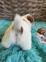 processed/6348b3d6-d5d6-4771-b825-c85549b2a559/listing/eaf72406-a15a-4360-9264-ef40fbb13814/2f6e2de1-1d33-41e4-9ece-429403944727