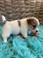 processed/6348b3d6-d5d6-4771-b825-c85549b2a559/listing/eaf72406-a15a-4360-9264-ef40fbb13814/4c3ca926-e46d-40d8-aec7-ac1826b6ae17