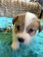 processed/6348b3d6-d5d6-4771-b825-c85549b2a559/listing/eaf72406-a15a-4360-9264-ef40fbb13814/eb166d26-0638-4e8a-8762-0ffeb367ae55