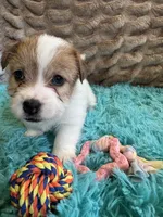 processed/6348b3d6-d5d6-4771-b825-c85549b2a559/listing/eaf72406-a15a-4360-9264-ef40fbb13814/f0b7366a-34e4-4a94-b809-cc42060f9242