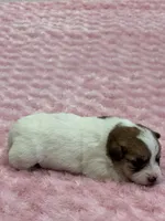 processed/6348b3d6-d5d6-4771-b825-c85549b2a559/listing/ed533174-1f0b-49ba-bad7-b939d5ed60a2/1824f446-ff6e-4205-86b4-562447968974