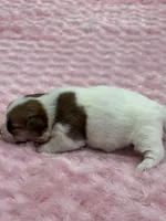 processed/6348b3d6-d5d6-4771-b825-c85549b2a559/listing/ed533174-1f0b-49ba-bad7-b939d5ed60a2/22f2e48f-9cc7-4af6-89bf-8c8242d20153