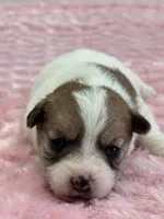 processed/6348b3d6-d5d6-4771-b825-c85549b2a559/listing/ed533174-1f0b-49ba-bad7-b939d5ed60a2/31d1f963-d67c-4ae5-9545-b95a53198339