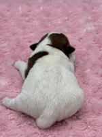 processed/6348b3d6-d5d6-4771-b825-c85549b2a559/listing/ed533174-1f0b-49ba-bad7-b939d5ed60a2/4bcc5974-c2cd-44cd-9412-3e36d7eab76e