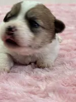 processed/6348b3d6-d5d6-4771-b825-c85549b2a559/listing/ed533174-1f0b-49ba-bad7-b939d5ed60a2/bae4e83c-a45a-46c3-9df9-189af8d592a7