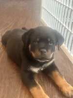 processed/6349eb77-4dda-46a2-9fe7-5263ce829514/listing/0230aa7b-a9b4-415d-a3cc-43e1fa8b1450/2efb449e-113c-4b19-9f9e-116cc22a02eb