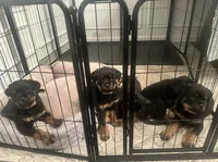 processed/6349eb77-4dda-46a2-9fe7-5263ce829514/listing/0230aa7b-a9b4-415d-a3cc-43e1fa8b1450/95ca0f1e-553d-4866-94df-3ba2449d9c2c