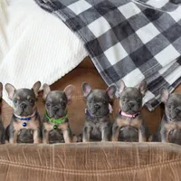 processed/634e7131-b04c-494a-8ec3-18e8a8969807/facility/83259860-f661-4a4e-900d-d8ee23d16da5